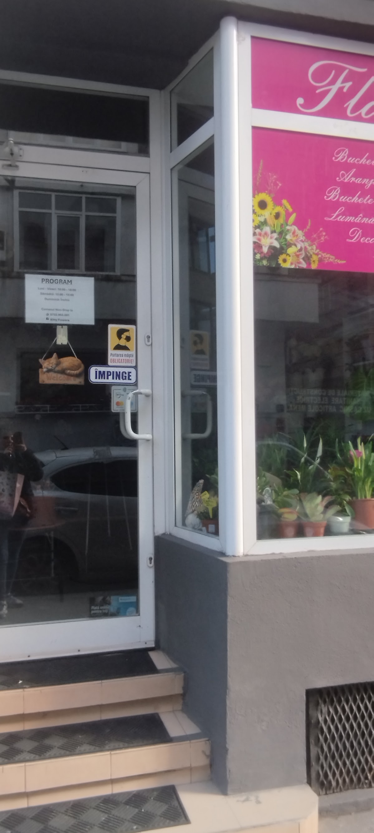 Logo kitty flowers